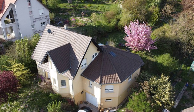 Gîte in a house in the heart of nature in Alsace near Mulhouse