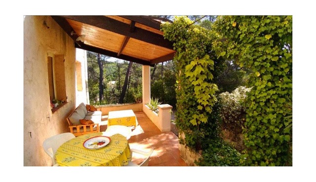 Gîte in a peaceful setting between olive trees and swimming pool