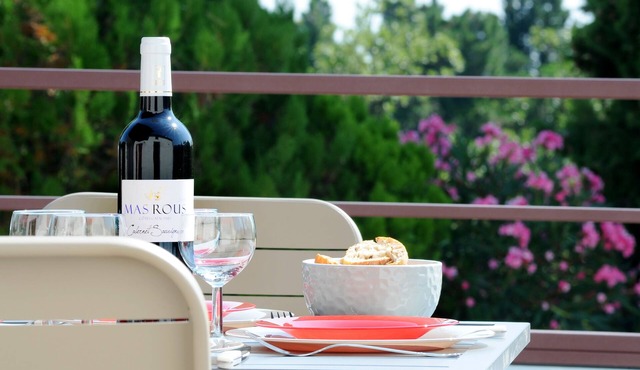Gîte in the heart of vineyards