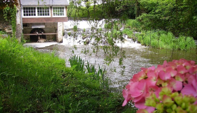 Gite in a mill overlooking the river surrounded by greenery