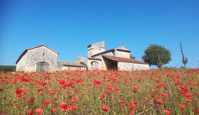 Gite in mas of character