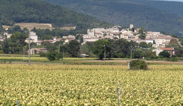 Gite in Provence