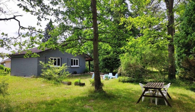 Gîte in the heart of nature Fontainebleau