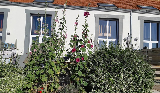 Gite in the heart of an artisan village - marsh views - near ocean