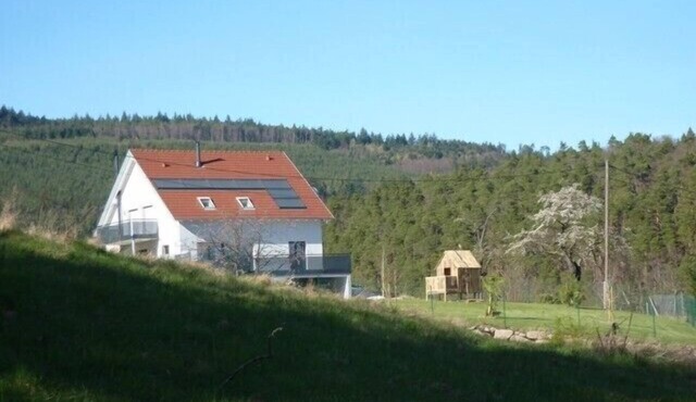 GITE IN THE NATURE BETWEEN VINEYARD AND MOUNTAIN IN THANNENKIRCH
