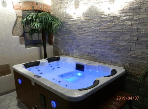 GITE IZALIN AVEC SPA A 20 min du Puy du Fou