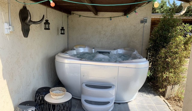 Gite jacuzzi swimming pool Camargue freewifi