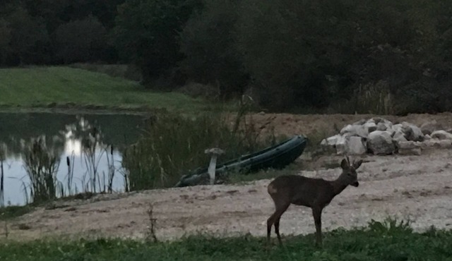 Gîte Jouy the potter 3 Rooms