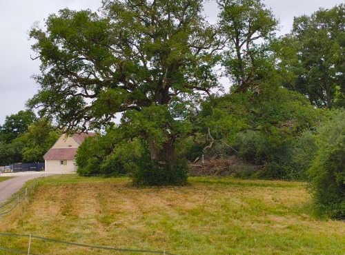 Gite l'ancien four à pain calme et douillet