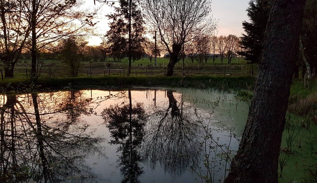 Gîte L'eau vive - The mill of Charin - Puy du Fou