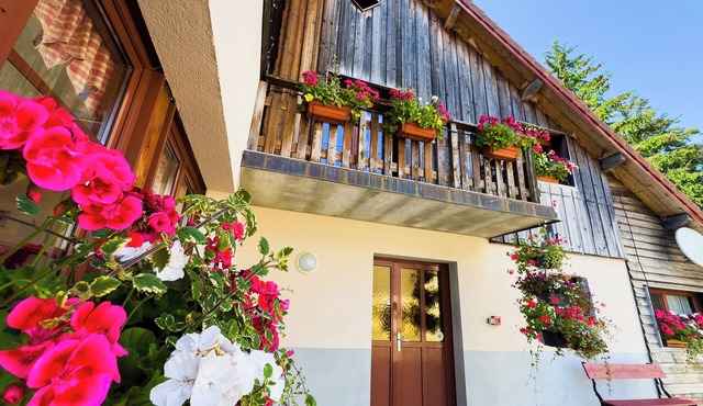 Gîte l'Essentiel, farmhouse group accommodation with spa and sauna, playground