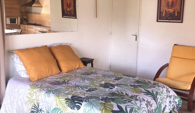 Gîte L'Exotique - Bungalow with garden and terrace, Vichy