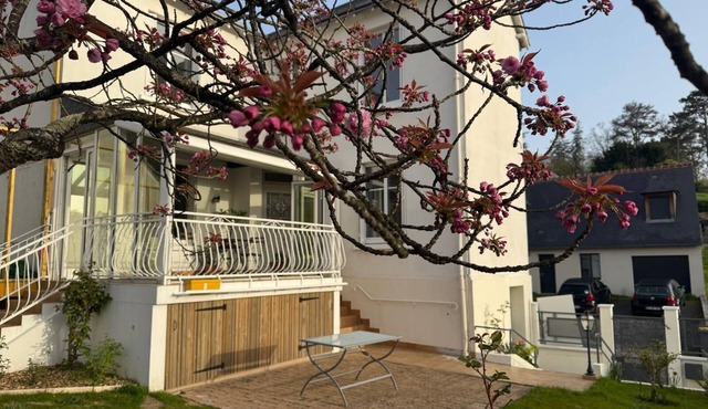 Gîte la Forge center of Rochecorbon. Pets welcome!