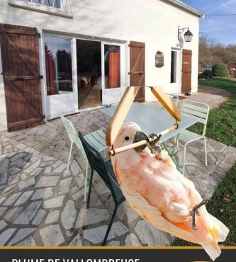 Gite La Plume de Vallombreuse