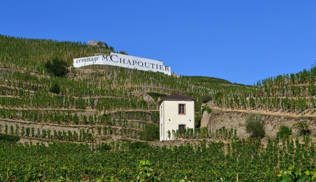 Gîte La Tour du Pavillon in the heart of the Ermitage vineyards