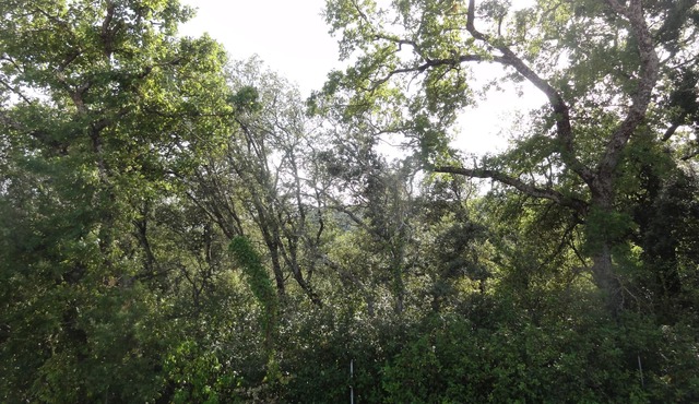 Gite "le Bagnol" a corner of paradise