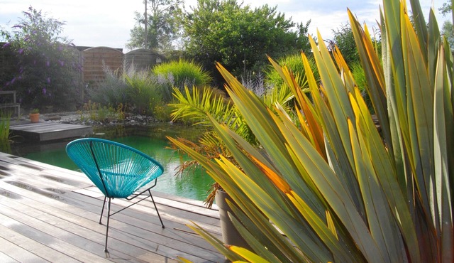 Gite *Le Brossay "Rest and relaxation" by a natural swimming pool