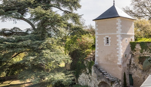 Gîte "Le Colombier", between the vineyards and the Loire