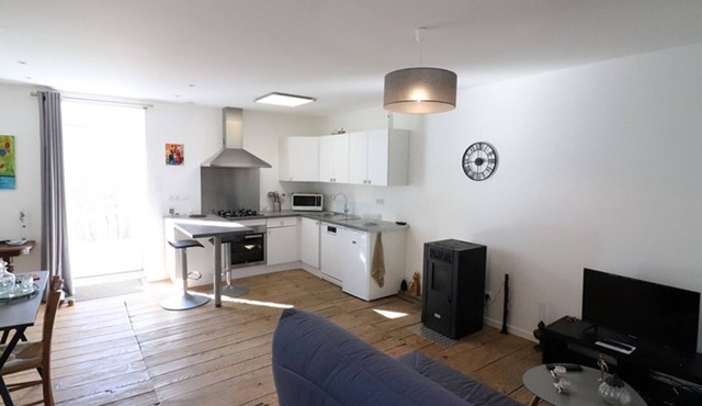 Gite Le Falgoux, 1 bedroom, 4 persons