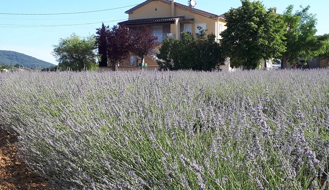 Gite Le Christol between Gard and Ardèche