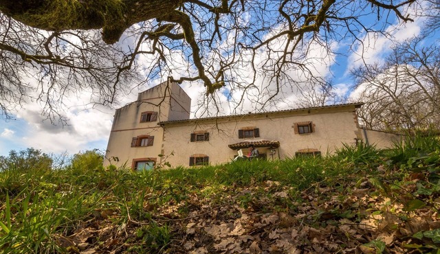 Gite "Le Grand Chêne"