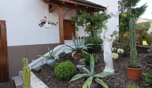 Gîte Le Havre Blanc surrounded by a huge enclosed park