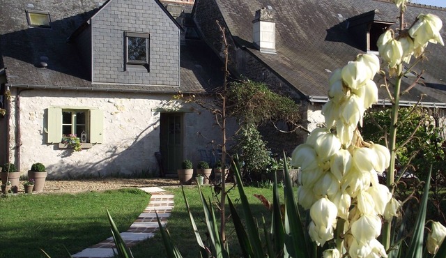Gîte le JoliCcoin to visit the castle of Azay le rideau and its surrondings
