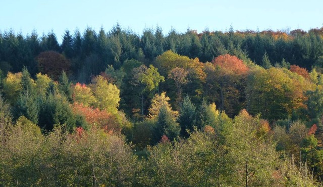 Gite Le Mayet-de-Montagne, 3 bedrooms, 6 persons