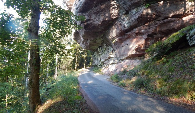 GITE LE PETIT COOKIE