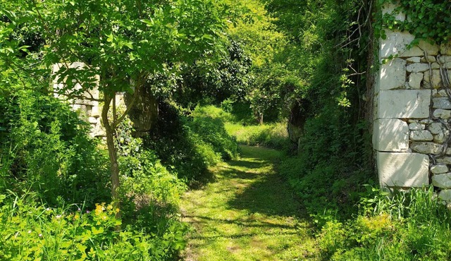 Gite "Le petit coteau