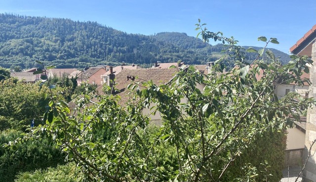 Gite LE Pt'it Rupt Refuge Cocooning