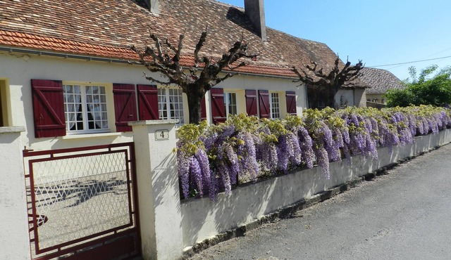 GITE "LES GLYCINES" IN THE COUNTRY IN PERIGORD