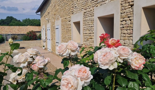 Gite Les Mésanges au Calme en Campagne, 2 Pièces + Espace Extérieur Privatif