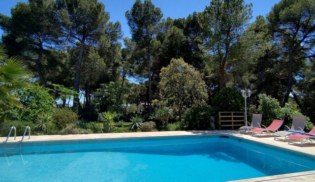 Gîte LES OLIVIERS located in a quiet area among the pines, close to the beaches