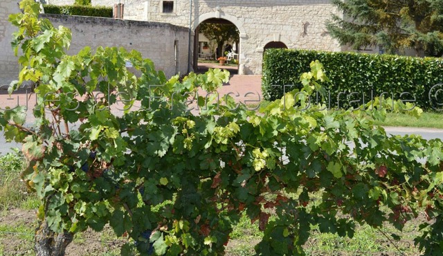 Gite Ligré, 7 bedrooms, 15 persons