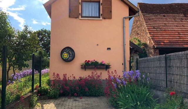 Gîte located on the Strasbourg and Colmar wine route, Gresswiller. Christmas market