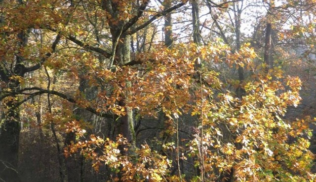 Gite Louroux-de-Bouble, 3 bedrooms, 6 persons