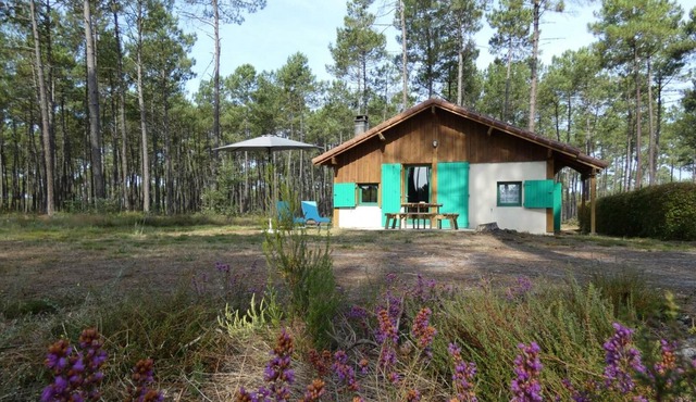 Gite Luxey, 2 bedrooms, 4 persons