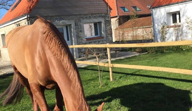 Gîte "Majesty" 4-5 people - Equestrian gite - near sea and forest