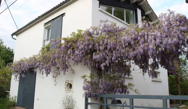 Gite marais poitevin, loft style, indoor SPA and free wifi