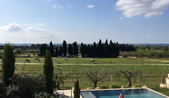 Gîte Mas de Cayol, Swimming pool in the heart of the Alpilles classified * (France)