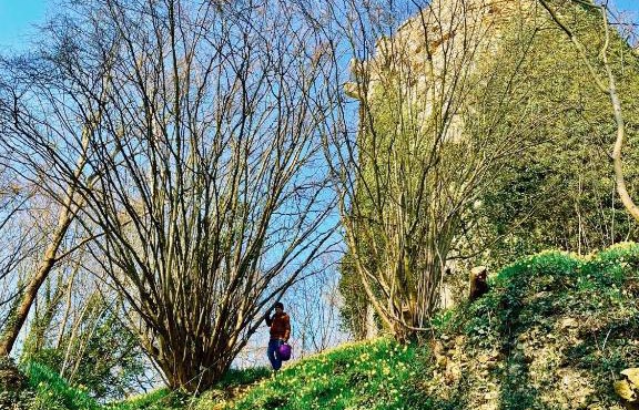 Gite nadège à l Ombre d'une Tour