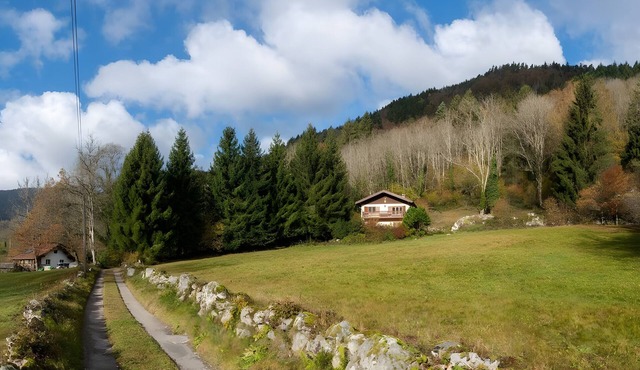 Gite Nature L'Orée des Étoiles - Valley of Munster