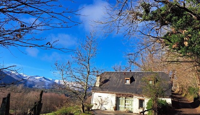 Gîte near Lourdes, in the Pyrenees. Mountain views. Pets allowed