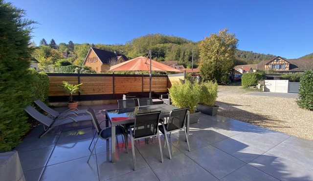 Gite of charm, very cozy located in the heart of the Alsatian vineyard under the castles