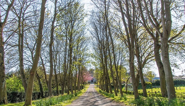 Gîte on a farm with animals, near Arromanche-les-bains, 2 km from the sea