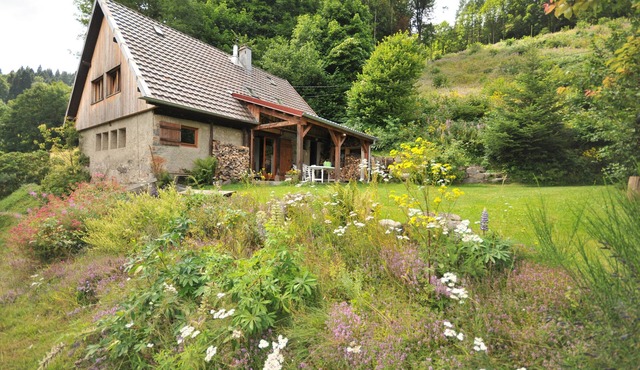 Gîte on the heights between Muhlbach-Sur-Munster and Gaschney *
