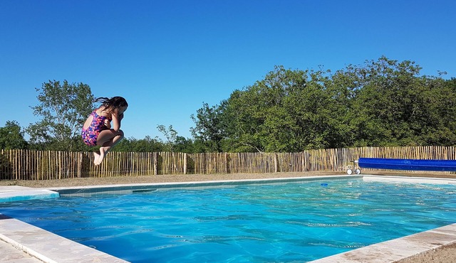Gîte on the edge of the woods