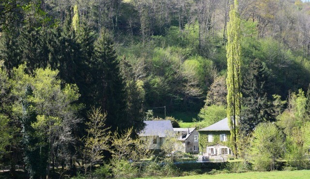 Gite on the edge of the Arac in a green setting with swimming pool