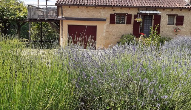 Gîte on the farm "Les Hirondelles"